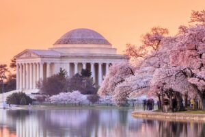 WASHINGTON DC